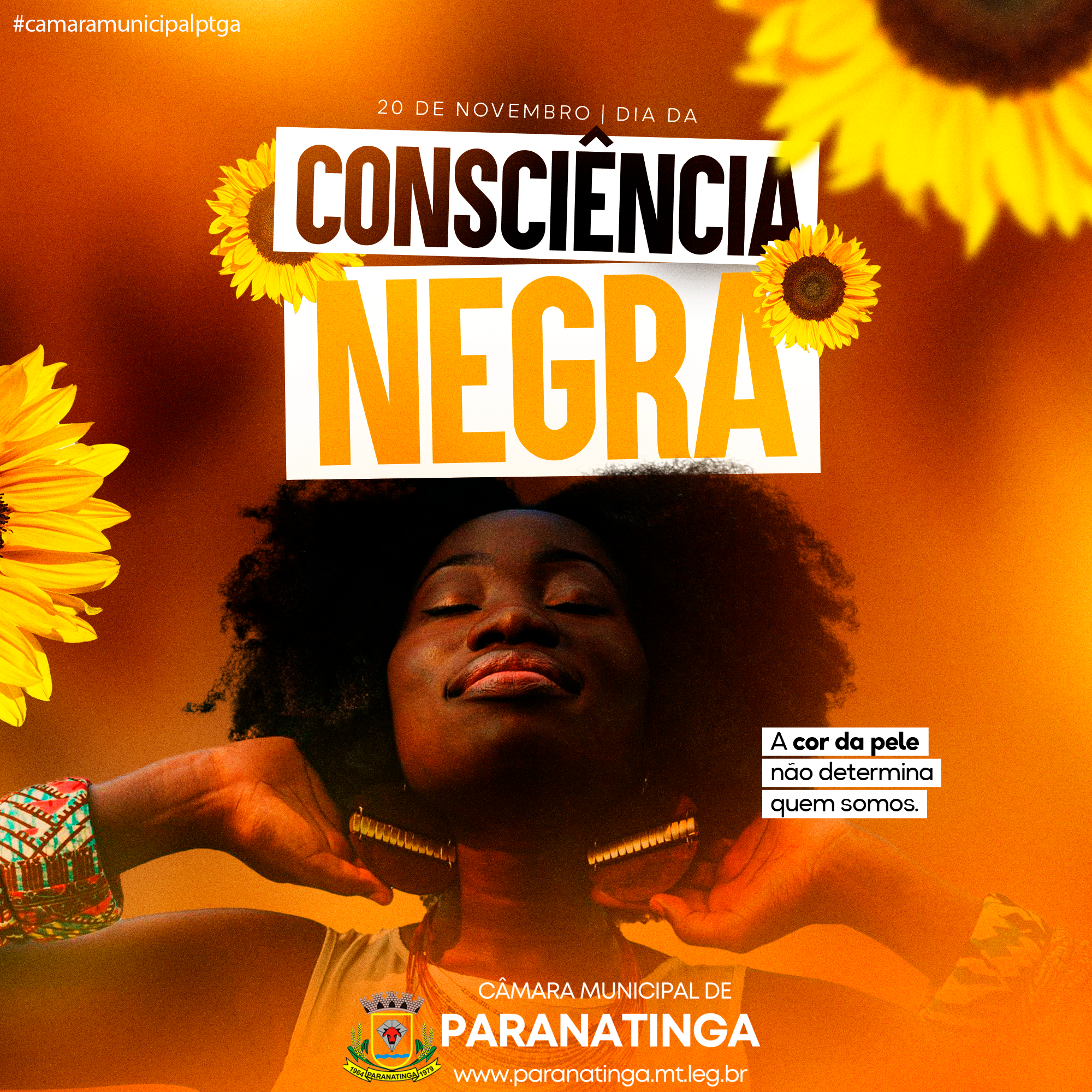 Dia 20 de novembro, Dia da Consciência Negra