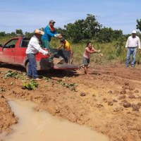 Vereador Edson do Sindicato protocolou ofício no Executivo em julho de 2021 pedindo que as estradas dos Bakairi fossem arrumadas e a demanda ainda  não foi atendida